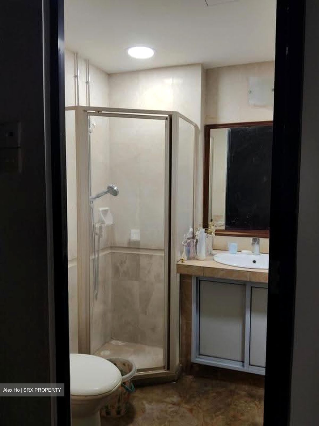Regent Heights (D23), Condominium #620282541